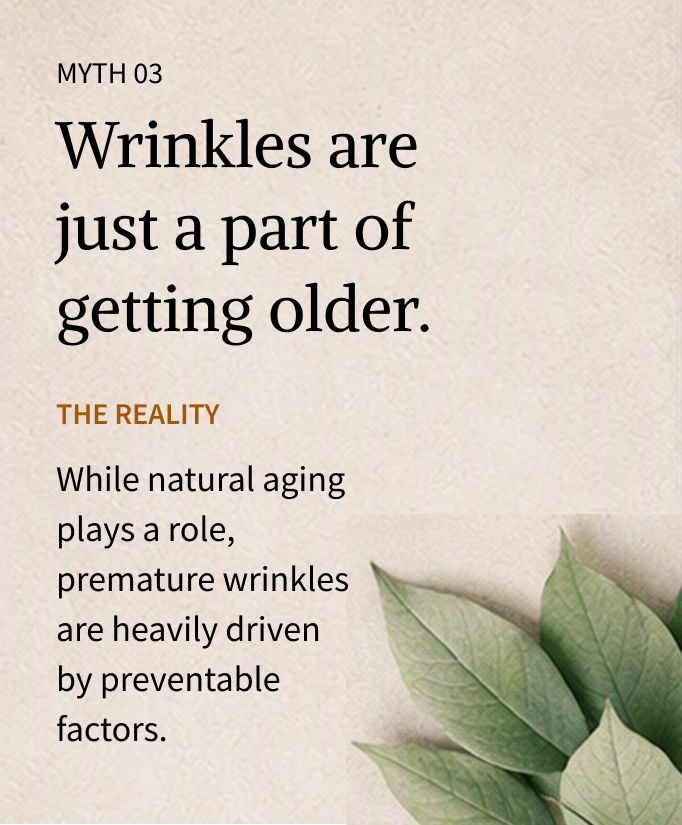 Educational skincare slide titled "Myth 03: Wrinkles are just a part of getting older." Botanical accents accompany text discussing factors that influence visible skin aging beyond age alone.